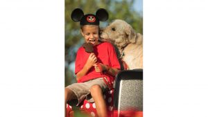 Featured image for “Dog-Friendly Resort Policy Continues at Select Walt Disney World Hotels”