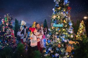 Featured image for “Celebrate the Season at Disney Springs”