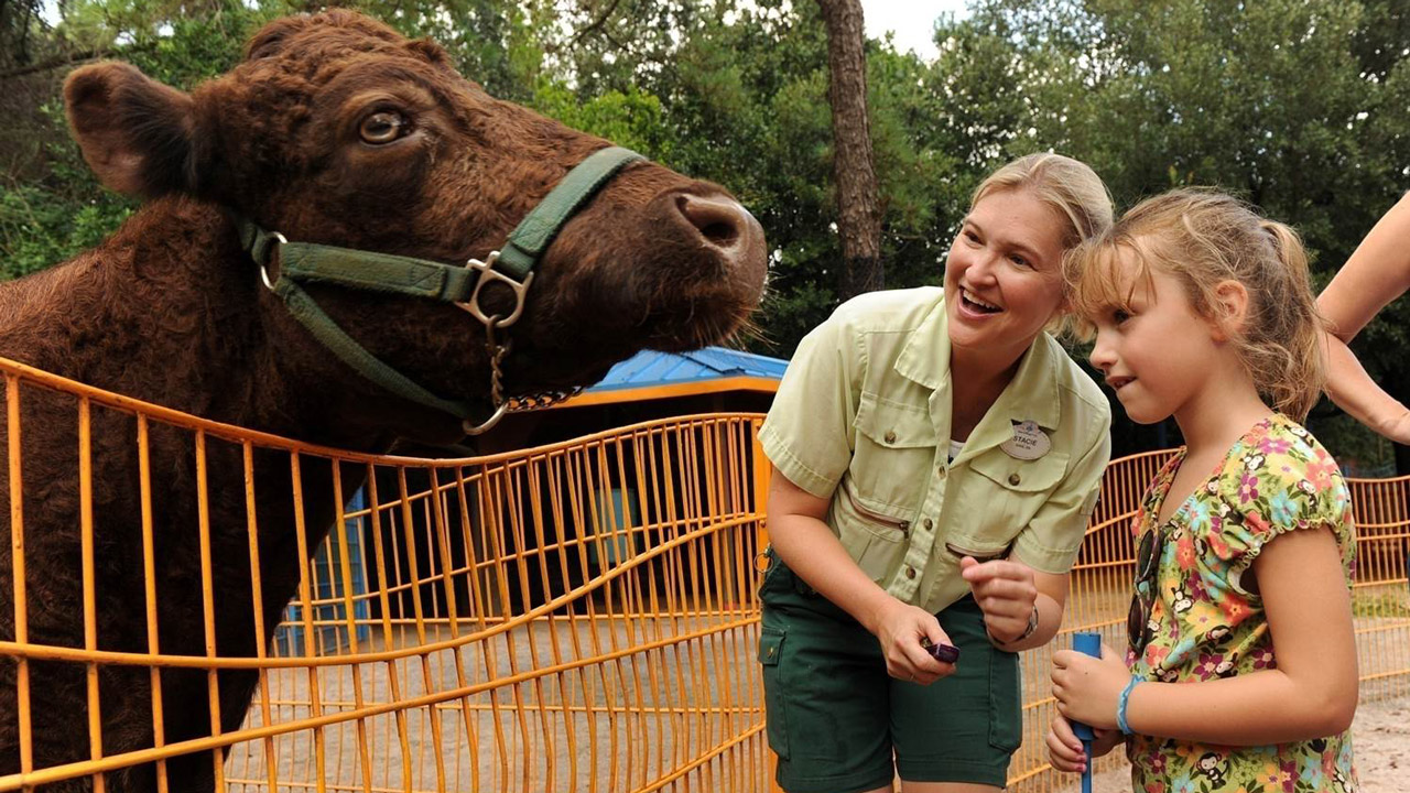 Featured image for “Rafiki’s Planet Watch Reopens this Summer at Disney’s Animal  Kingdom”