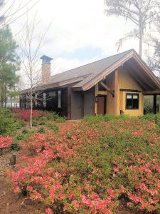 Featured image for “Copper Creek Cabins at Disney’s Wilderness Lodge by Agent, Michelle”