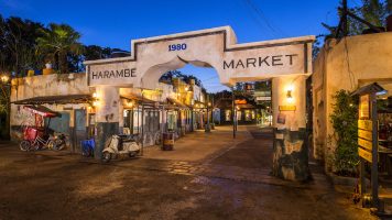 Featured image for “Circle of Flavors: Harambe at Night Coming to Disney’s Animal Kingdom”