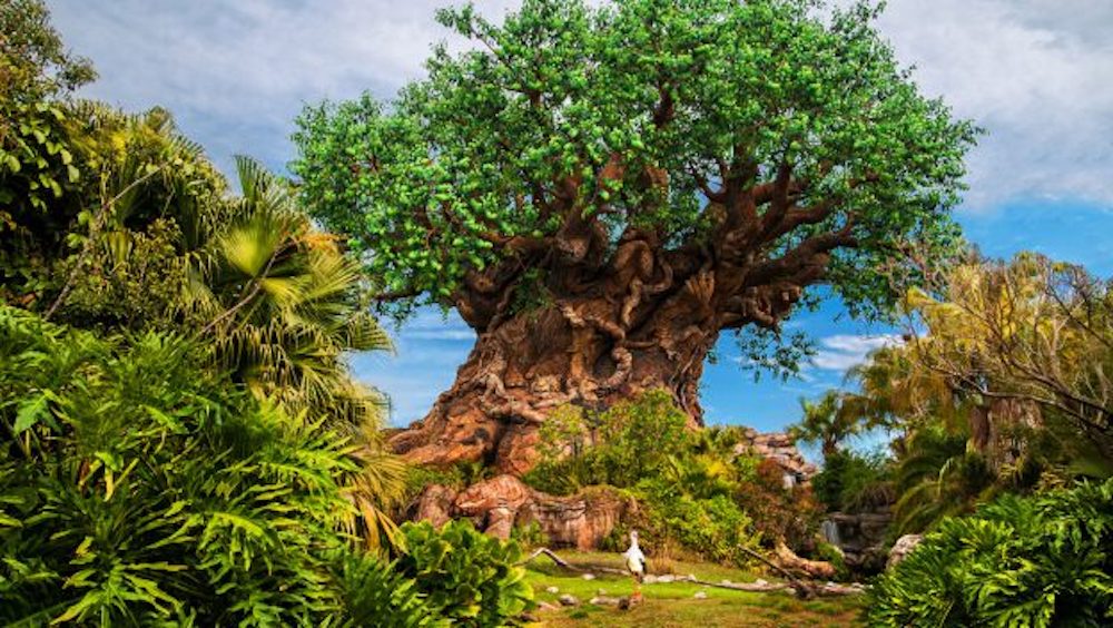 Featured image for “Disney’s Animal Kingdom Park Hosts Exciting Multi-Day Celebration for 50th Anniversary of Earth Day”