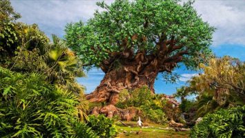 Featured image for “Experience ‘A Path Less Traveled Tour’ as a part of Earth Month Celebration at Disney’s Animal Kingdom”