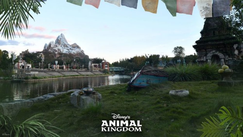 Featured image for “Get Camera-Yeti: Super Zoom Magic Shot Available Now at Disney’s Animal Kingdom Theme Park”