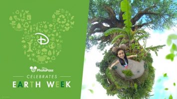 Featured image for “A Tree-mendous New Tiny World Magic Shot Now Available at Disney’s Animal Kingdom Theme Park”