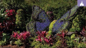 Featured image for “‘Encanto’-Inspired Garden Debuts at EPCOT International Flower & Garden Festival”