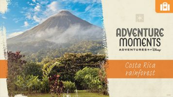 Featured image for “Adventure Moments: Experience ‘Pura Vida’ in Costa Rica”
