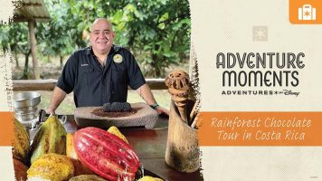 Featured image for “Adventure Moments: All About Chocolate”