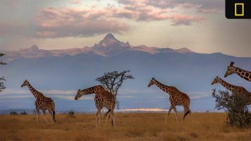 Featured image for “National Geographic Expeditions Announces 2024 Signature Land Trips, River Cruises and Private Expeditions”