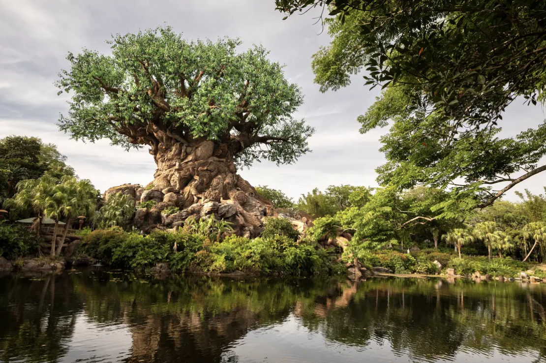Featured image for “Disney’s Animal Kingdom Theme Park Celebrates 25 Years Showcasing the Magic of Nature”